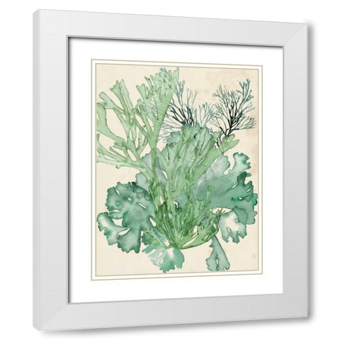 Seaweed Composition II White Modern Wood Framed Art Print with Double Matting by McCavitt, Naomi