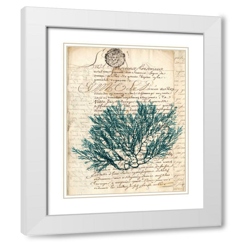 Vintage Teal Seaweed I White Modern Wood Framed Art Print with Double Matting by Vision Studio