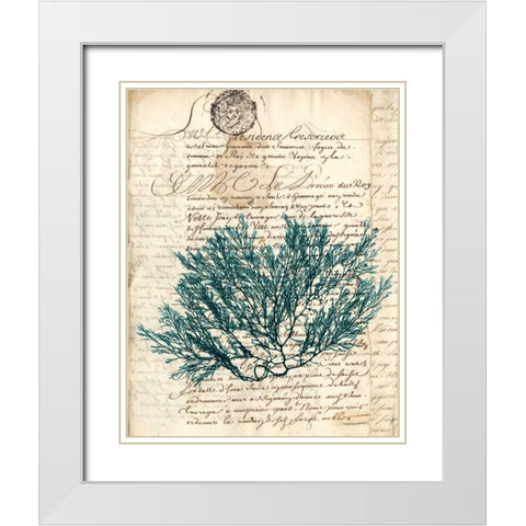 Vintage Teal Seaweed I White Modern Wood Framed Art Print with Double Matting by Vision Studio