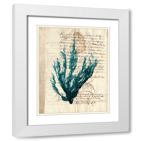 Vintage Teal Seaweed II White Modern Wood Framed Art Print with Double Matting by Vision Studio