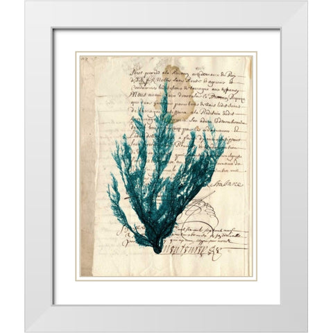 Vintage Teal Seaweed II White Modern Wood Framed Art Print with Double Matting by Vision Studio