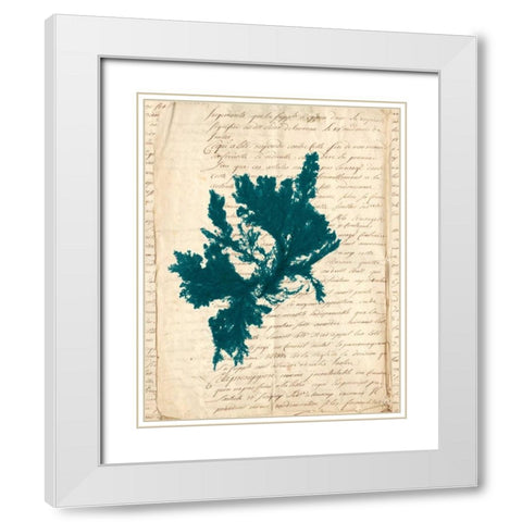 Vintage Teal Seaweed IV White Modern Wood Framed Art Print with Double Matting by Vision Studio