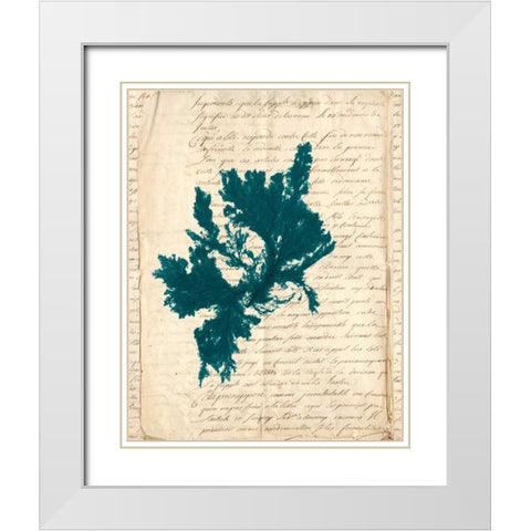 Vintage Teal Seaweed IV White Modern Wood Framed Art Print with Double Matting by Vision Studio