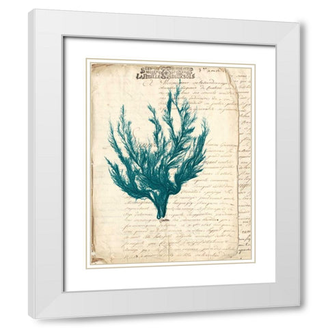 Vintage Teal Seaweed V White Modern Wood Framed Art Print with Double Matting by Vision Studio