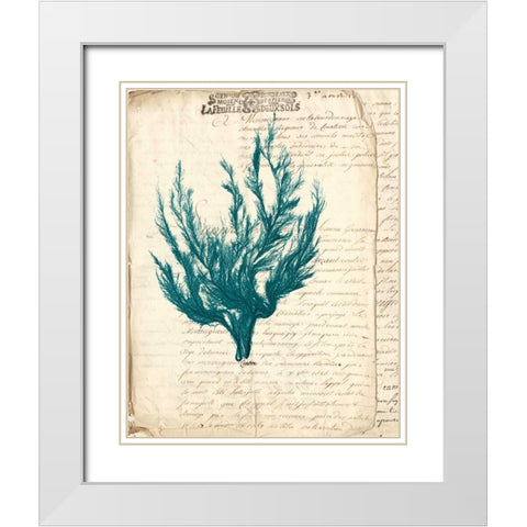 Vintage Teal Seaweed V White Modern Wood Framed Art Print with Double Matting by Vision Studio