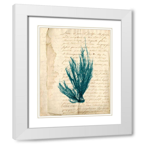 Vintage Teal Seaweed IX White Modern Wood Framed Art Print with Double Matting by Vision Studio