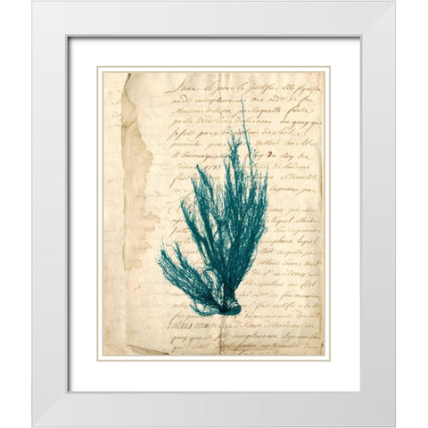 Vintage Teal Seaweed IX White Modern Wood Framed Art Print with Double Matting by Vision Studio