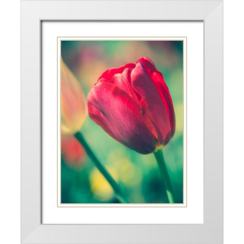 Tulip Sway II White Modern Wood Framed Art Print with Double Matting by Quintero, Sonja