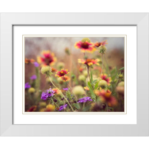 Wild Blooms I White Modern Wood Framed Art Print with Double Matting by Quintero, Sonja