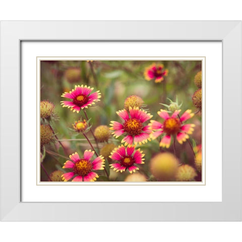 Wild Blooms II White Modern Wood Framed Art Print with Double Matting by Quintero, Sonja