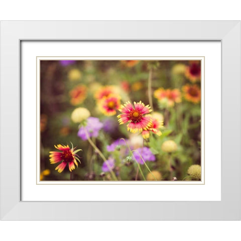 Wild Blooms III White Modern Wood Framed Art Print with Double Matting by Quintero, Sonja