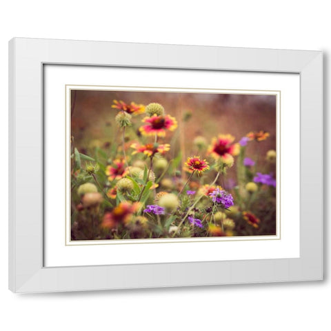 Wild Blooms IV White Modern Wood Framed Art Print with Double Matting by Quintero, Sonja
