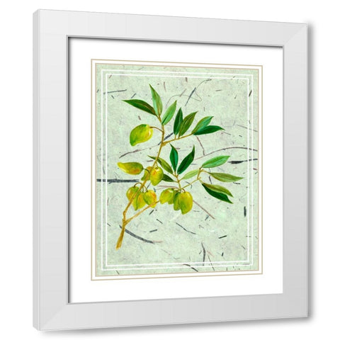 Olives on Textured Paper II White Modern Wood Framed Art Print with Double Matting by Wang, Melissa