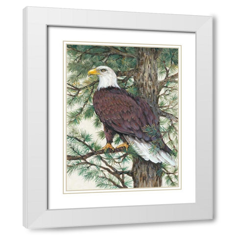 Eagle in the Pine White Modern Wood Framed Art Print with Double Matting by OToole, Tim