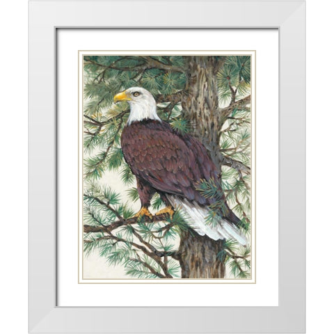 Eagle in the Pine White Modern Wood Framed Art Print with Double Matting by OToole, Tim