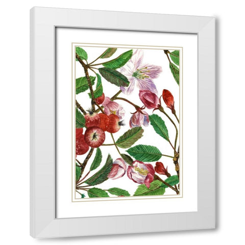 Malus Melliana I White Modern Wood Framed Art Print with Double Matting by Wang, Melissa