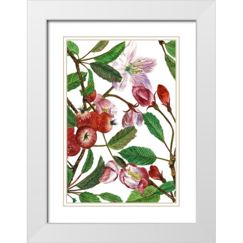 Malus Melliana I White Modern Wood Framed Art Print with Double Matting by Wang, Melissa