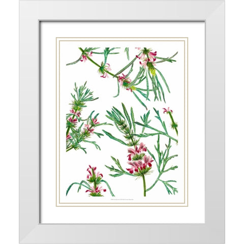 Asian Flower Array I White Modern Wood Framed Art Print with Double Matting by Wang, Melissa