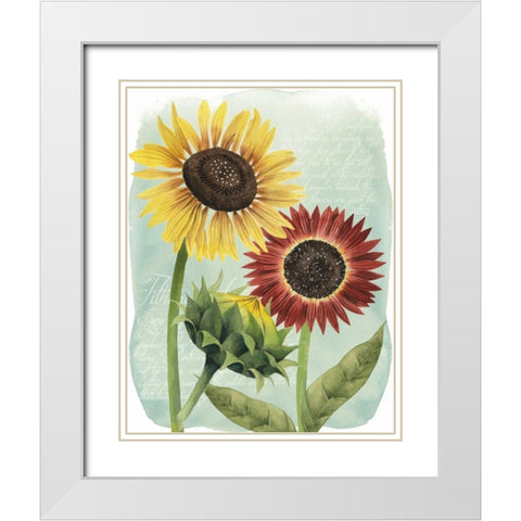 Sunflower Study II White Modern Wood Framed Art Print with Double Matting by Popp, Grace