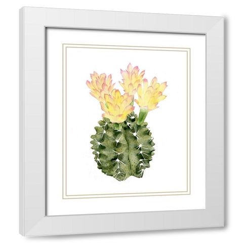 Cactus Bloom II White Modern Wood Framed Art Print with Double Matting by Popp, Grace