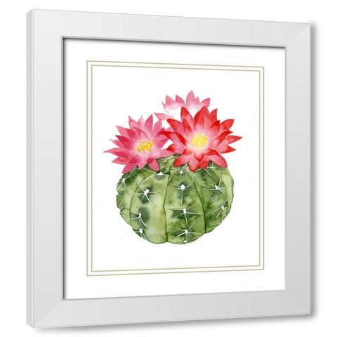 Cactus Bloom III White Modern Wood Framed Art Print with Double Matting by Popp, Grace