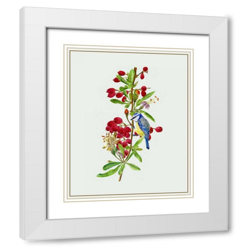 Lycium Barbarum I White Modern Wood Framed Art Print with Double Matting by Wang, Melissa