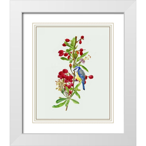 Lycium Barbarum I White Modern Wood Framed Art Print with Double Matting by Wang, Melissa