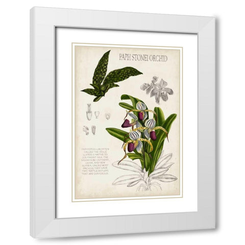 Orchid Field Notes I White Modern Wood Framed Art Print with Double Matting by McCavitt, Naomi