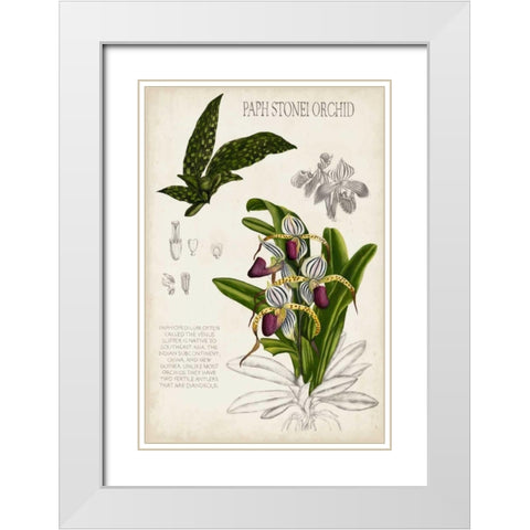 Orchid Field Notes I White Modern Wood Framed Art Print with Double Matting by McCavitt, Naomi