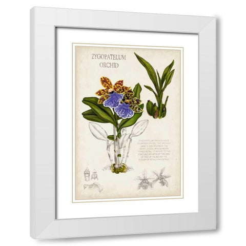 Orchid Field Notes II White Modern Wood Framed Art Print with Double Matting by McCavitt, Naomi