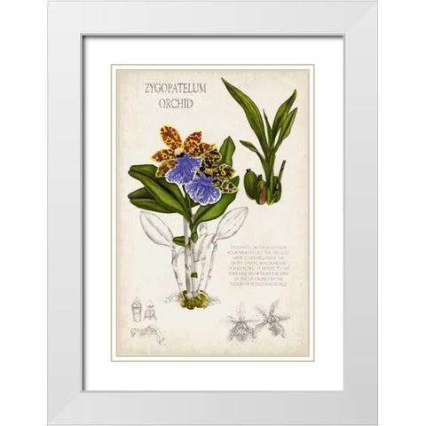 Orchid Field Notes II White Modern Wood Framed Art Print with Double Matting by McCavitt, Naomi