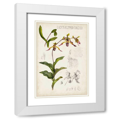 Orchid Field Notes III White Modern Wood Framed Art Print with Double Matting by McCavitt, Naomi