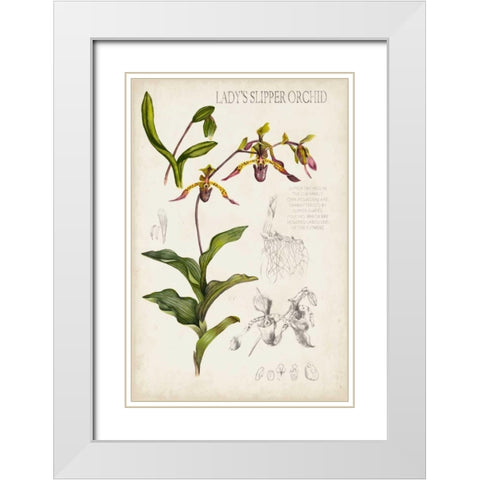 Orchid Field Notes III White Modern Wood Framed Art Print with Double Matting by McCavitt, Naomi