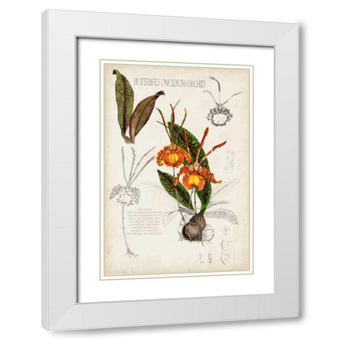 Orchid Field Notes IV White Modern Wood Framed Art Print with Double Matting by McCavitt, Naomi