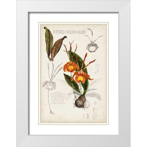 Orchid Field Notes IV White Modern Wood Framed Art Print with Double Matting by McCavitt, Naomi