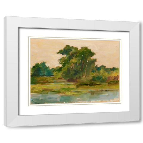 Changing Sunlight I White Modern Wood Framed Art Print with Double Matting by Harper, Ethan