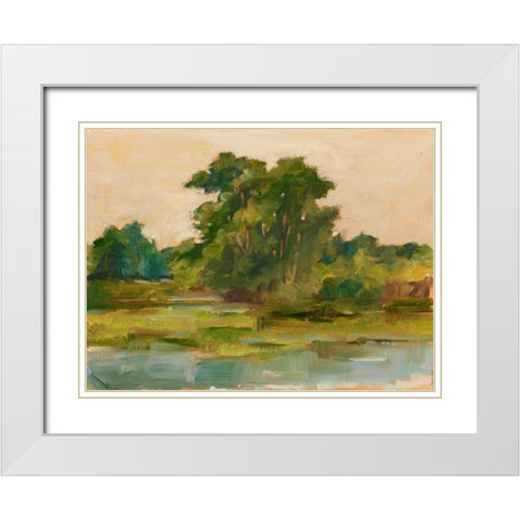 Changing Sunlight I White Modern Wood Framed Art Print with Double Matting by Harper, Ethan