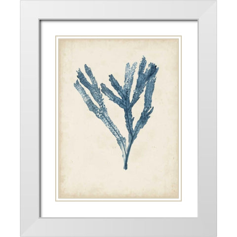 Seaweed Specimens I White Modern Wood Framed Art Print with Double Matting by McCavitt, Naomi