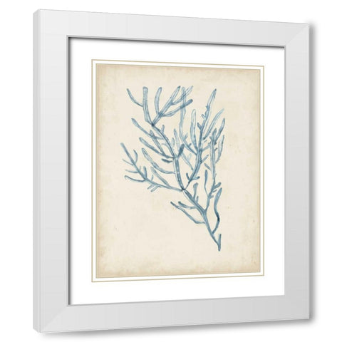 Seaweed Specimens III White Modern Wood Framed Art Print with Double Matting by McCavitt, Naomi