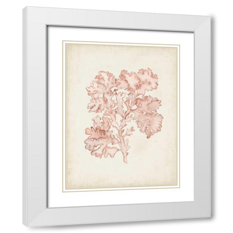 Seaweed Specimens VI White Modern Wood Framed Art Print with Double Matting by McCavitt, Naomi