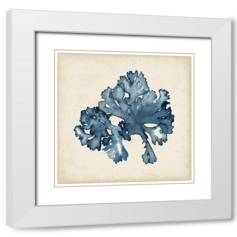 Seaweed Specimens IX White Modern Wood Framed Art Print with Double Matting by McCavitt, Naomi