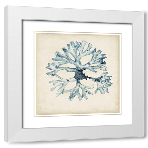 Seaweed Specimens X White Modern Wood Framed Art Print with Double Matting by McCavitt, Naomi
