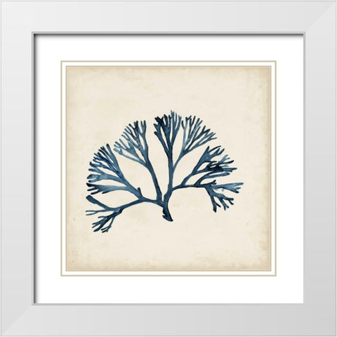 Seaweed Specimens XI White Modern Wood Framed Art Print with Double Matting by McCavitt, Naomi