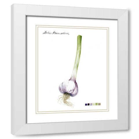 Root Vegetable I White Modern Wood Framed Art Print with Double Matting by Popp, Grace
