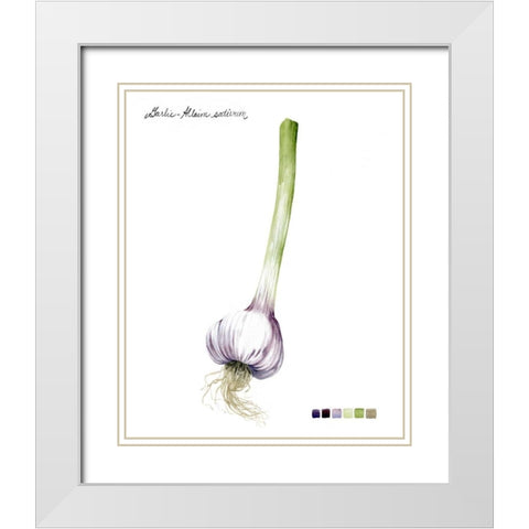 Root Vegetable I White Modern Wood Framed Art Print with Double Matting by Popp, Grace