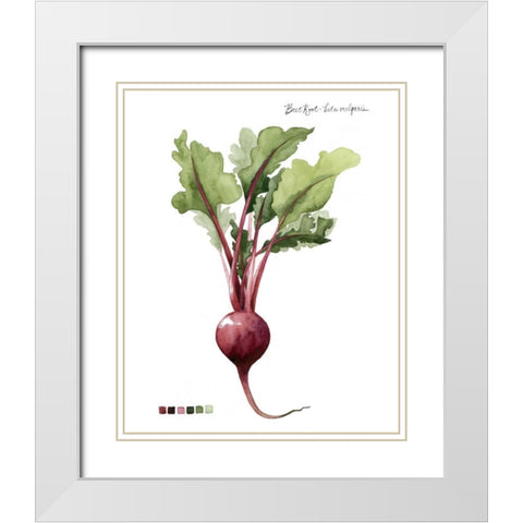Root Vegetable II White Modern Wood Framed Art Print with Double Matting by Popp, Grace