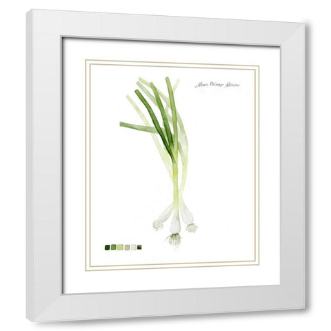 Root Vegetable V White Modern Wood Framed Art Print with Double Matting by Popp, Grace