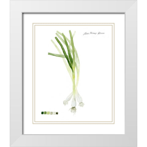 Root Vegetable V White Modern Wood Framed Art Print with Double Matting by Popp, Grace
