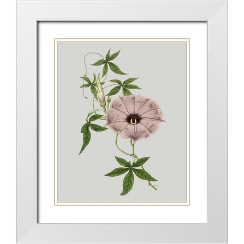 Floral Gems VI White Modern Wood Framed Art Print with Double Matting by Vision Studio