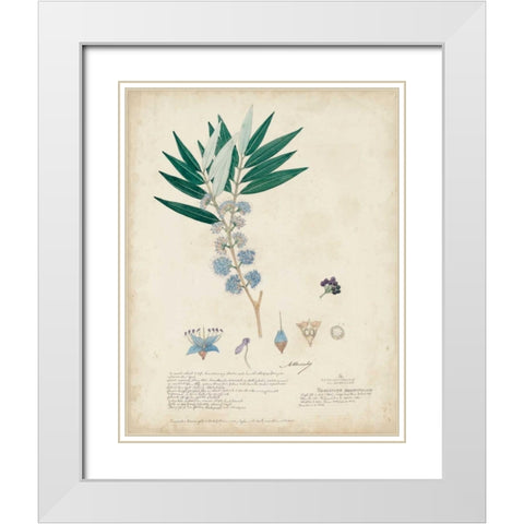 Delicate Blue Descubes I White Modern Wood Framed Art Print with Double Matting by Descubes, A.